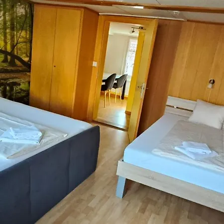 Hirschen In Wilderswil