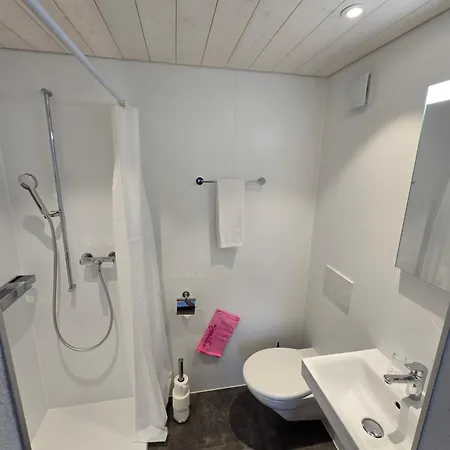 Hotel Hirschen Wilderswil