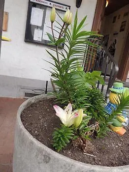 Hotel Hirschen In 3*