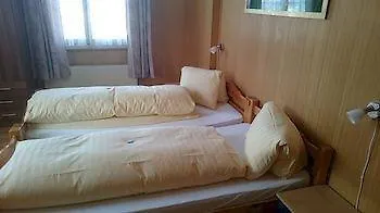 Hotel Hirschen In Wilderswil