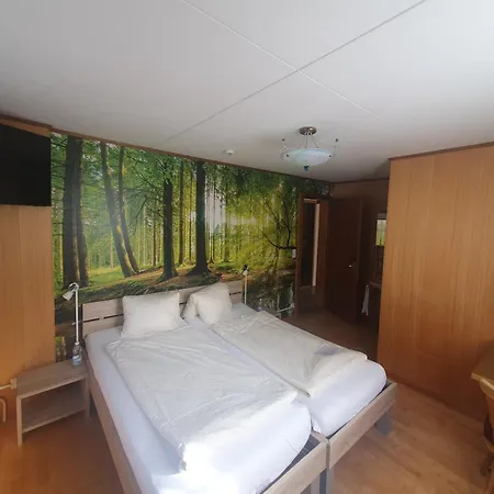Gasthof Hirschen In Wilderswil Hotel