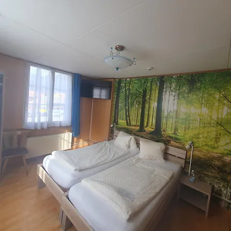 Gasthof Hirschen In Wilderswil Hotel 3*